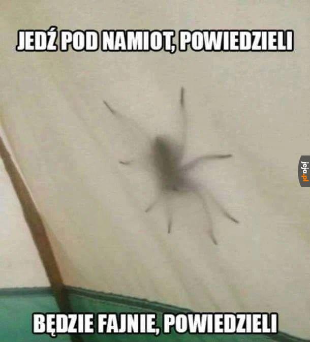 Nigdy więcej