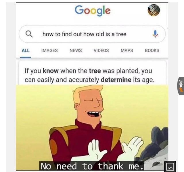 Jak ocenić wiek drzewa