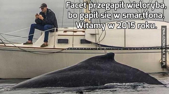 Facet przegapił wieloryba, bo gapił się w smartfona
