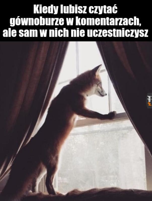 Najlepsze źródło rozrywki