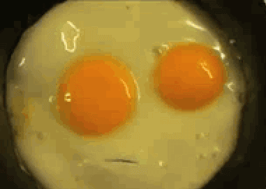 Gadające jajko