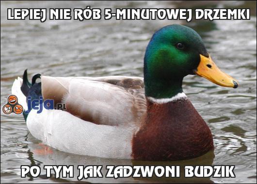 Lepiej nie rób 5-minutowej drzemki