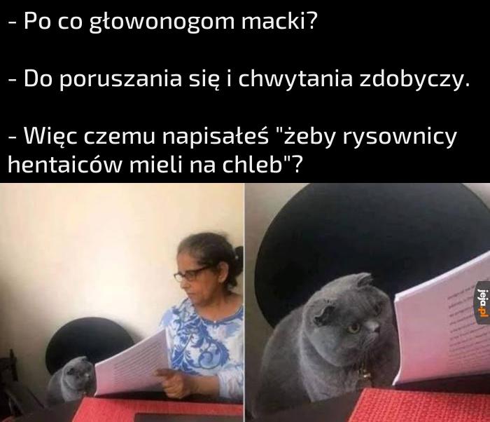 Głowonogi