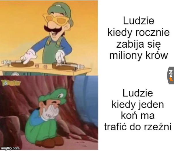 W sumie, koń przez wiele lat był przyjacielem człowieka...