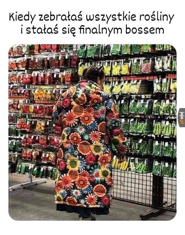 Co za potęga