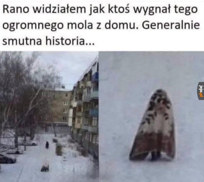 Nieludzkie w taki mróz