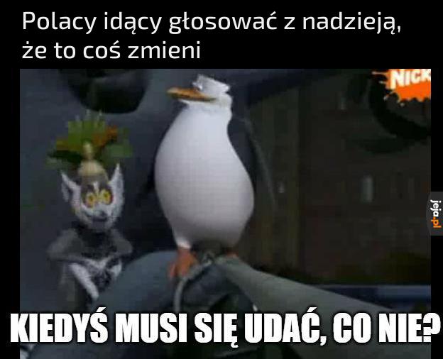 Otóż nie tym razem