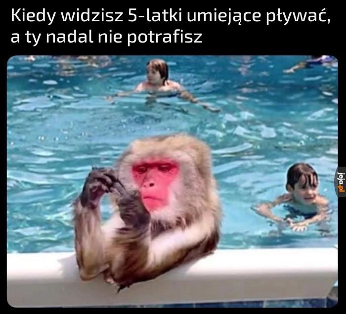 Przerasta mnie to
