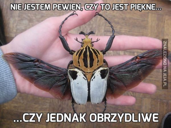 Nie jestem pewien, czy to jest piękne...