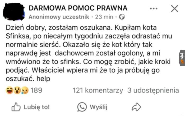 No co za oszust