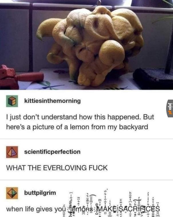 Mmmm, demoniczna cytrynka