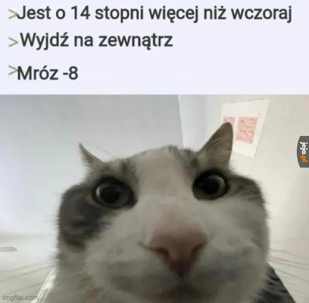 Niezła ta tegoroczna zima