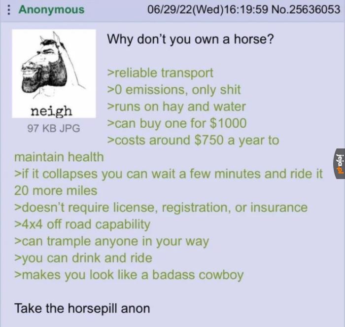 Wróćmy do koni