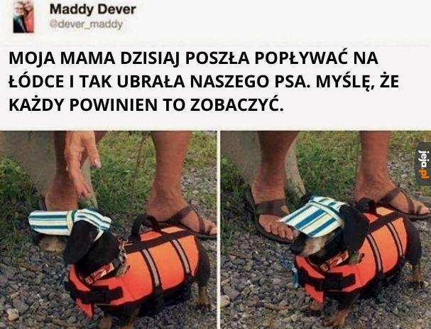 Cieszę się, że to zobaczyłem