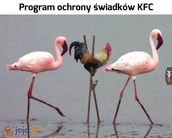 Jestę flamingę