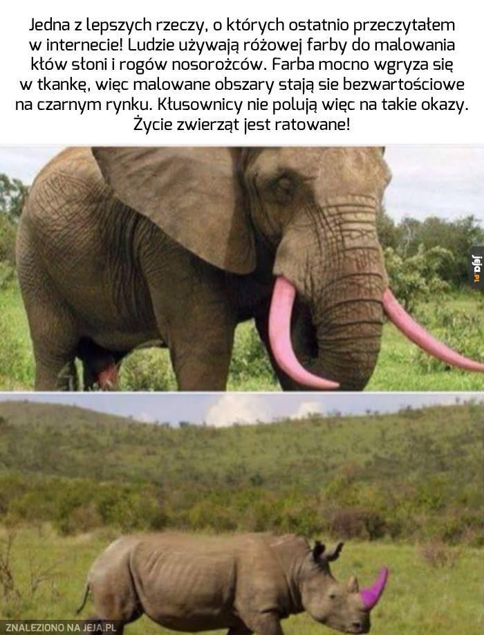 Wiara w ludzi odzyskana!