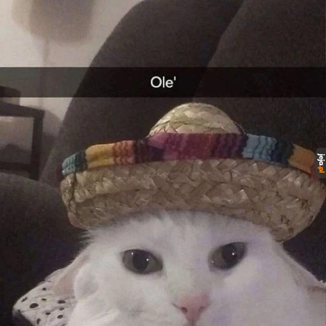 Tydzień meksykański w Lidlu