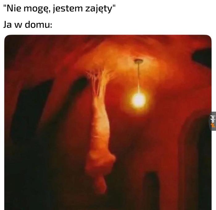 Mniej więcej ja
