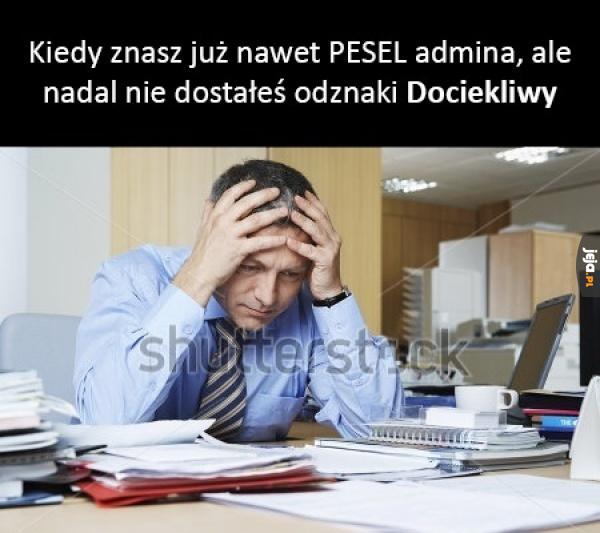 Dociekliwy Jejowicz