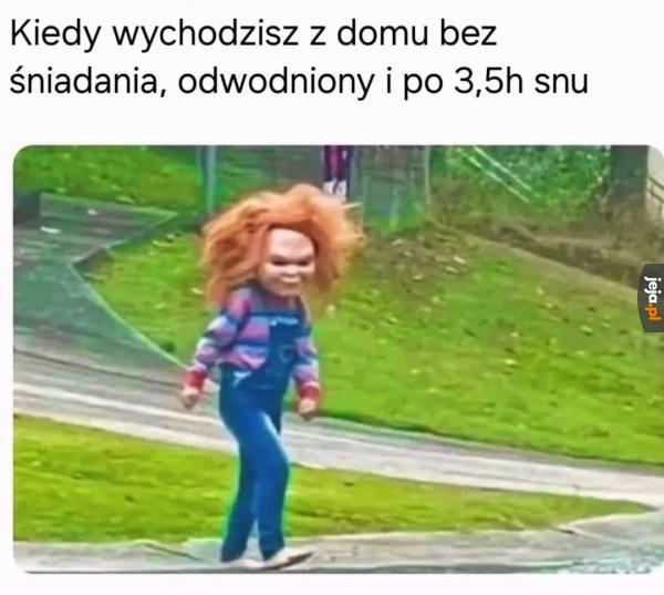 To będzie udany dzień