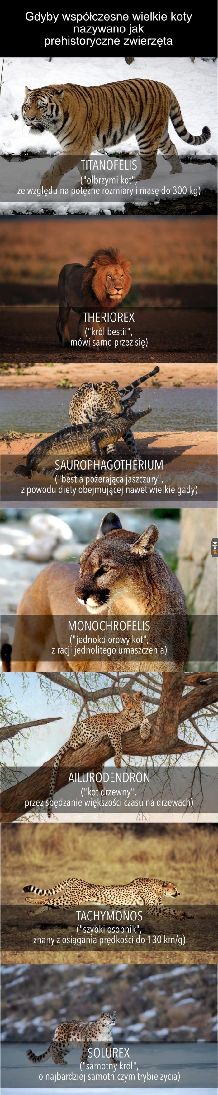 Od razu bardziej epicko