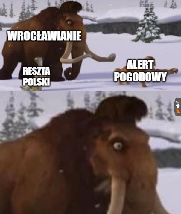 *intensywne PTSD w języku śląskim
