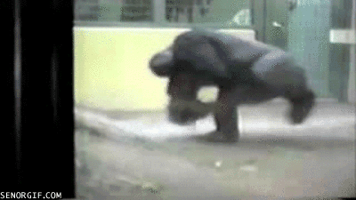 Goryli break dance