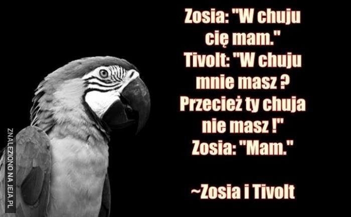 Zosia i Tivolt
