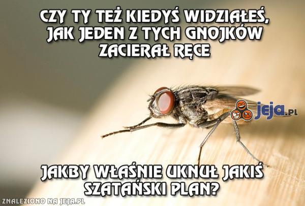 Też to zauważyłeś?