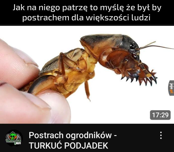 Co to za maszkara?!