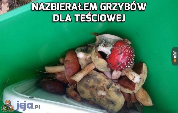 Grzybki dla teściowej