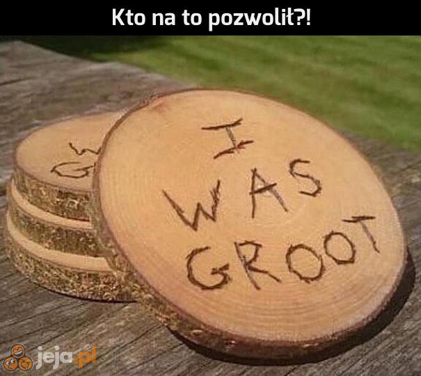 Stary dobry Groot