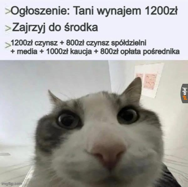 Kogo na to niby stać