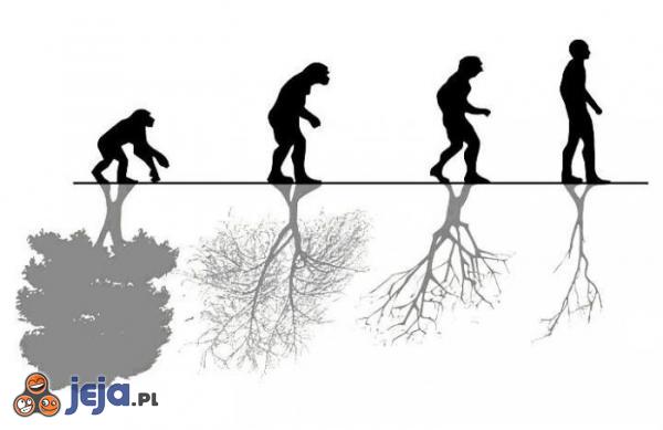 Ewolucja ludzkości i natury