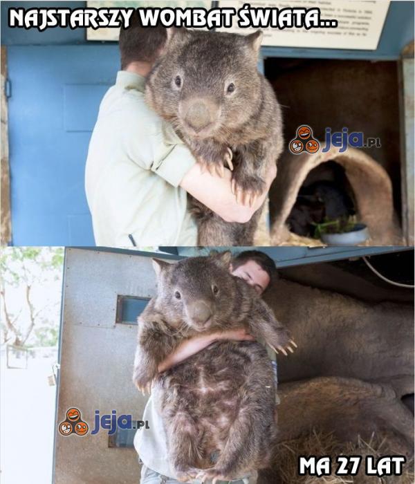 Najstarszy wombat świata