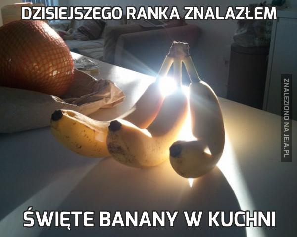 Dzisiejszego ranka znalazłem