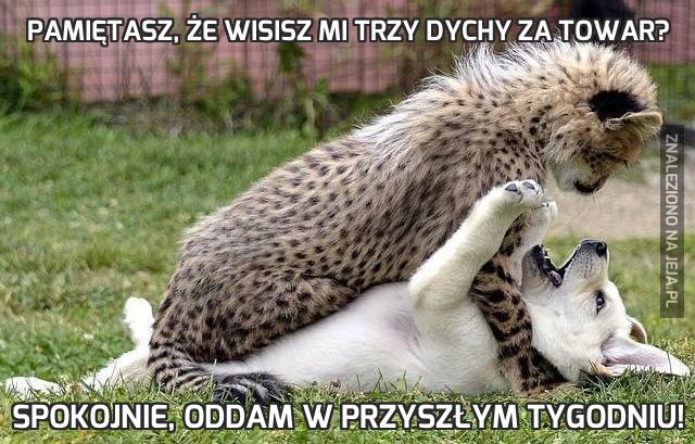 Pamiętasz, że wisisz mi trzy dychy za towar?