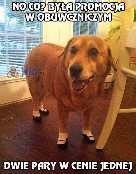 Niezłe buty piesku