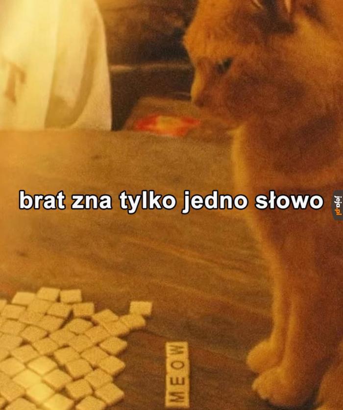 10-ty raz go ograłem