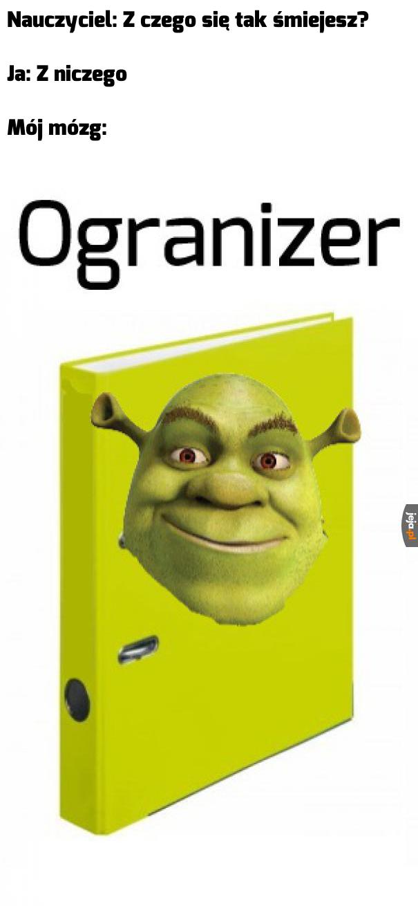 To zdecydowanie zabawne