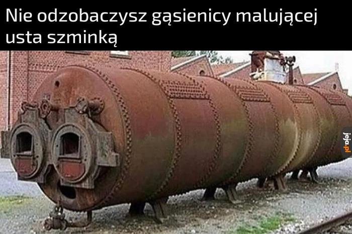 Wypali Ci się w synapsach