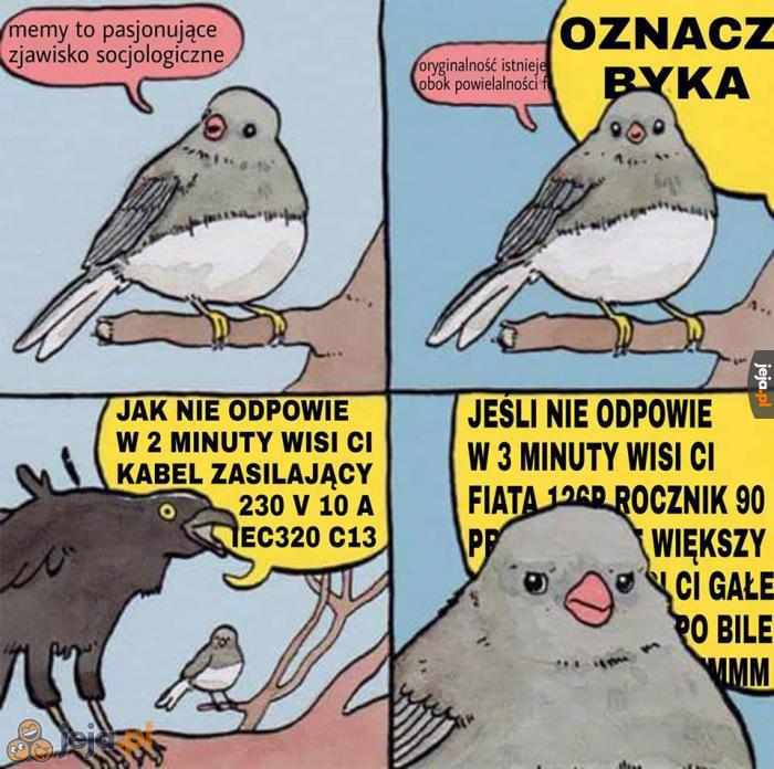 No cóż, nie wszystkie memy