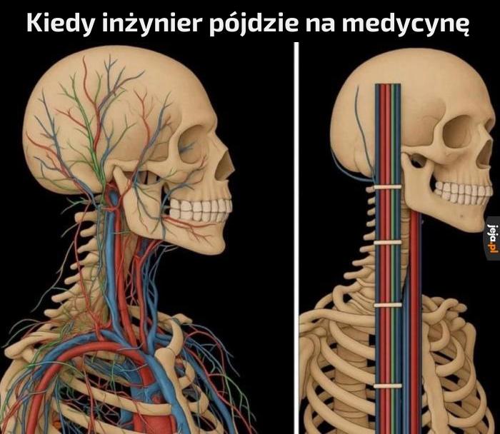 Posegregował