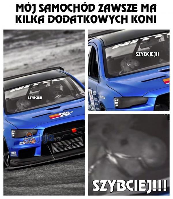 Dodatkowy koń