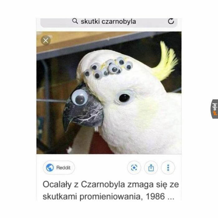 Potworna tragedia