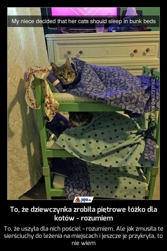 To, że dziewczynka zrobiła piętrowe łóżko dla kotów - rozumiem