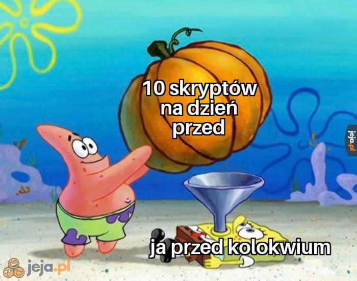 Typowy student