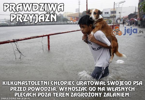 Prawdziwa przyjaźń