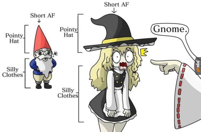 Gnomek :3