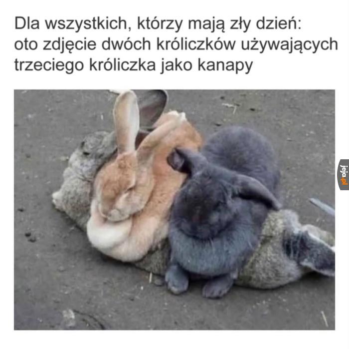 Służę uprzejmie
